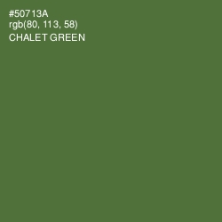 #50713A - Chalet Green Color Image